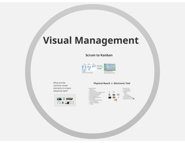 Visual Management and Blind Software Developer | PPT | Free Download