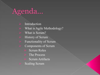 






Introduction
What is Agile Methodology?
What is Scrum?
History of Scrum
Functionality of Scrum
Components of Scrum
 Scrum Roles
 The Process
 Scrum Artifacts
 Scaling Scrum

 