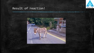 Result of reaction!
 