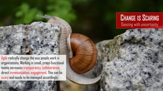 CHANGE IS SCARING
Dancing with uncertainty
Agile radically change the way people work in
organizations. Working in small, cross-functional
teams increases transparency, collaboration,
direct communication, engagement, This can be
scary and needs to be managed accordingly.
 