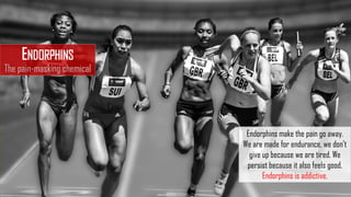 ENDORPHINS
The pain-masking chemical
Endorphins make the pain go away.
We are made for endurance, we don’t
give up because we are tired. We
persist because it also feels good.
Endorphins is addictive.
 
