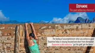 The feeling of accomplishment when you achieve a goal.
Dopamine helps in staying focused and clear from distraction.
Dopamine is also addictive: "get the goal, get the bonus".
DOPAMINE
The goal achieving chemical
 