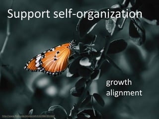 Support self-organization
growth
alignment
http://www.flickr.com/photos/oth313/2084783266/
 