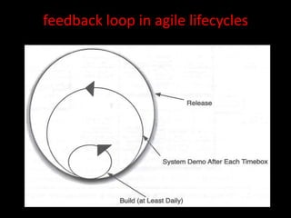 feedback loop in agile lifecycles
 