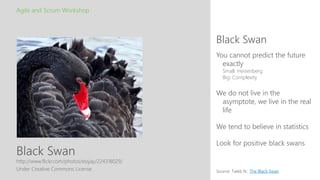 Black Swan
Black Swan
Agile and Scrum Workshop
http://www.flickr.com/photos/essjay/224318029/
Under Creative Commons License
You cannot predict the future
exactly
Small: Heisenberg
Big: Complexity
We do not live in the
asymptote, we live in the real
life
We tend to believe in statistics
Look for positive black swans
Source: Taleb N.: The Black Swan
 