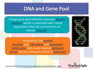 A large gene pool indicates extensive genetic
     diversity, which is associated with robust
       populations that can survive bouts of
                 intense selection.


               Meanwhile, low genetic
      diversity (see inbreeding and population
     bottlenecks) can cause reduced biological
   fitness and an increased chance of extinction



Source: Wikipedia http://en.wikipedia.org/wiki/Gene_pool
 