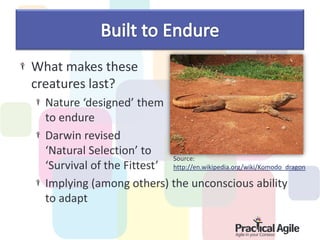 What makes these
creatures last?
  Nature ‘designed’ them
  to endure
  Darwin revised
  ‘Natural Selection’ to
                            Source:
  ‘Survival of the Fittest’ http://en.wikipedia.org/wiki/Komodo_dragon
  Implying (among others) the unconscious ability
  to adapt
 