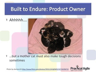 Ahhhhh….




   …but a mother cat must also make tough decisions
   sometimes

Photo by danizen24 http://www.flickr.com/photos/39311243@N05/4272639675/
 