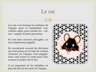 
Le rat
Les rats vont tromper la confiance de
l’équipe pour se familiariser avec
certains sujets pour ensuite les « rat-
iser » auprès d’autres personnes.
Ils sont bien souvent anti-agiles, ou
tout simplement négatifs.
Ils connaissent souvent les décisions
qui sont prises sur la base de certains
contextes où l’équipe s’est engagée,
mais vont tordre la vérité pour faire
avancer le projet vers le bas.
Il est important de les identifier au
plus tôt afin de les sortir de l’équipe.
 