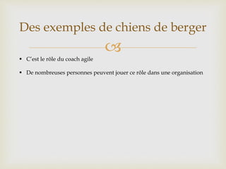 
Des exemples de chiens de berger
 C’est le rôle du coach agile
 De nombreuses personnes peuvent jouer ce rôle dans une organisation
 