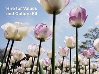 Hire for Values
and Culture Fit
 