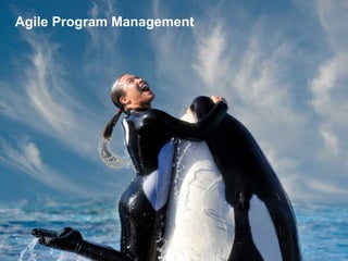 Agile Program Management
 