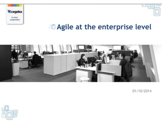 Agile at the enterprise level 
01/10/2014 
 