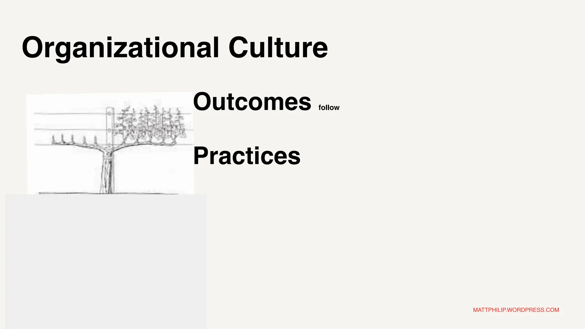 MATTPHILIP.WORDPRESS.COM
Organizational Culture
Practices
Outcomes follow
 