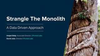 Strangle The Monolith
A Data Driven Approach
Amjad Sidqi, Associate Director | Pivotal Labs
David Julia, Director | Pivotal Labs
 