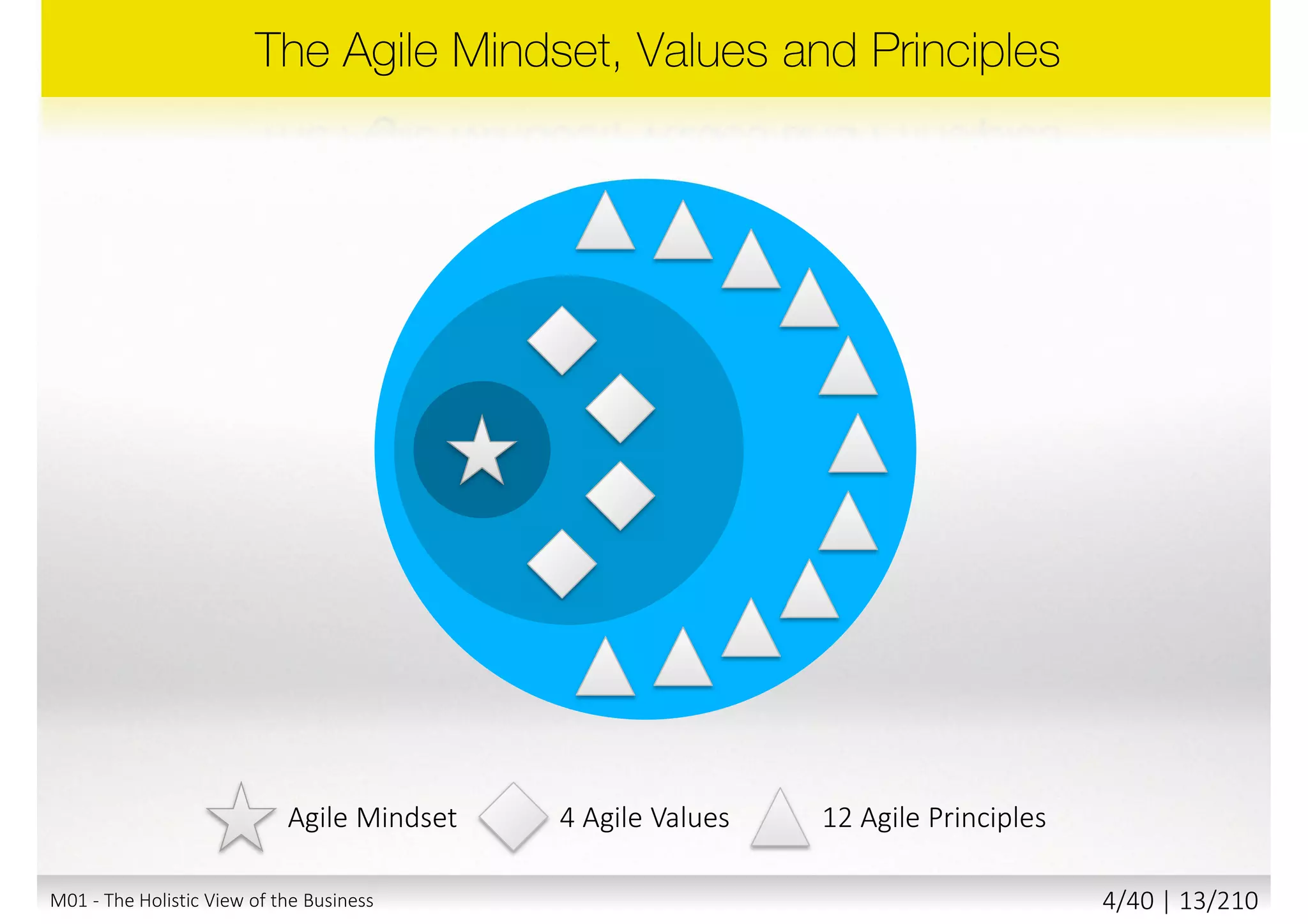 M01 - The Holistic View of the Business 3/40 | 13/211
 