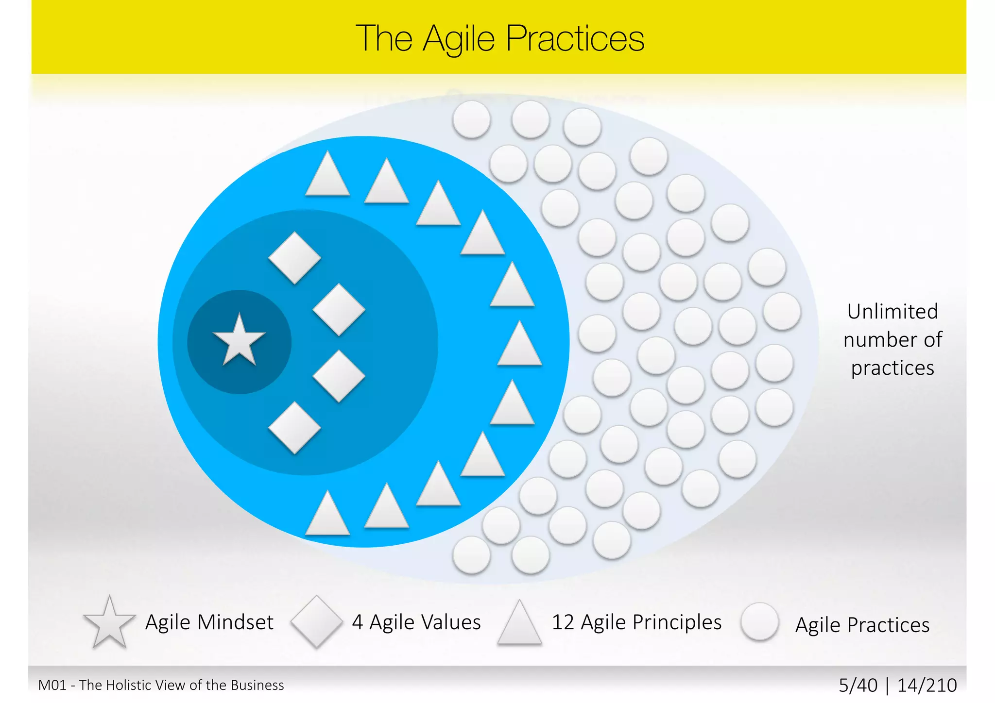 Agile Mindset 4 Agile Values 12 Agile Principles
M01 - The Holistic View of the Business 4/40 | 14/211
 