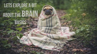 Agile Biology 