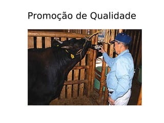 Promoção de Qualidade
 
