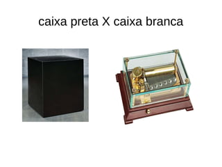 caixa preta X caixa branca
 