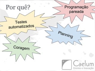 Por quê?           Programação
                     pareada

    Testes
automatizados
                Plan
                    ning


  Coragem
 