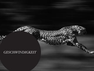 GESCHWINDIGKEIT
 