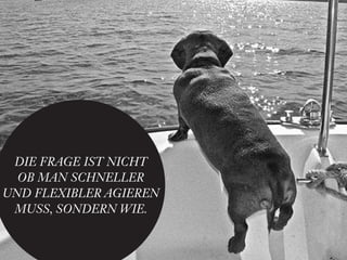 Sandra Nina Eisele   I   Agile Branding




 DIE FRAGE IST NICHT
  OB MAN SCHNELLER
UND FLEXIBLER AGIEREN
 MUSS, SONDERN WIE.
 