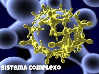 sistema complexo
 