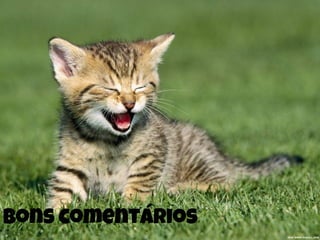 bons comentários
 