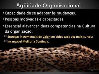 Agilidade Organizacional
• Capacidade de se adaptar às mudanças.
• Pessoas motivadas e capacitadas.
• Essencial alavancar duas competências na Cultura
da organização:
Entregas incrementais de Valor em ciclos cada vez mais curtos;
Incansável Melhoria Contínua.
12
 