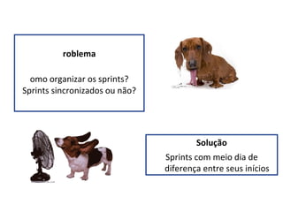 Problema Como organizar os sprints? Sprints sincronizados ou não? Solução Sprints com meio dia de diferença entre seus inícios 