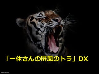 Photo on Visual hunt
「⼀休さんの屏⾵のトラ」DX
 