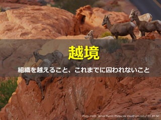 Toshihiro Ichitani All Rights Reserved.
越境
Photo credit: James Marvin Phelps via Visualhunt.com / CC BY-NC
組織を越えること、これまでに囚われないこと
 