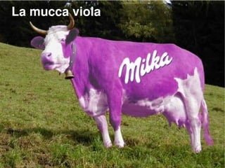 Lo sviluppo delle mucche viola