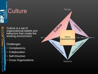 Business Systems

People

Set of connected
processes, tools, beliefs
and policies that support
the business.
AGILE
ORGANIZATION

Challenges:
• Legacy Reporting
• 100% Staff Allocation
• Contracting
• Status Reporting

Systems

 