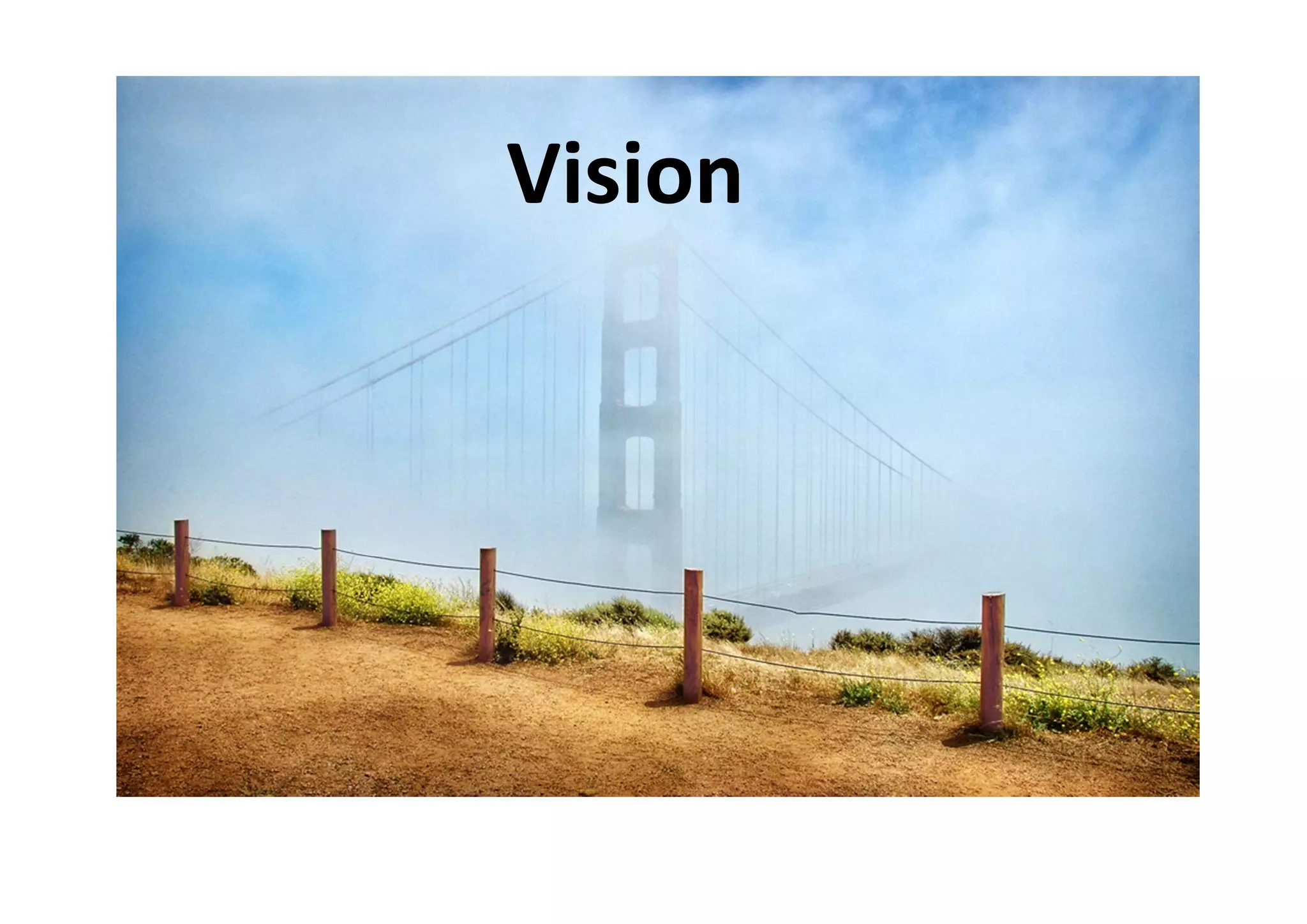 Vision