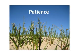 Patience
 