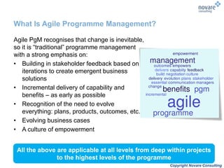 Agile change programmes webinar 150915 | PDF