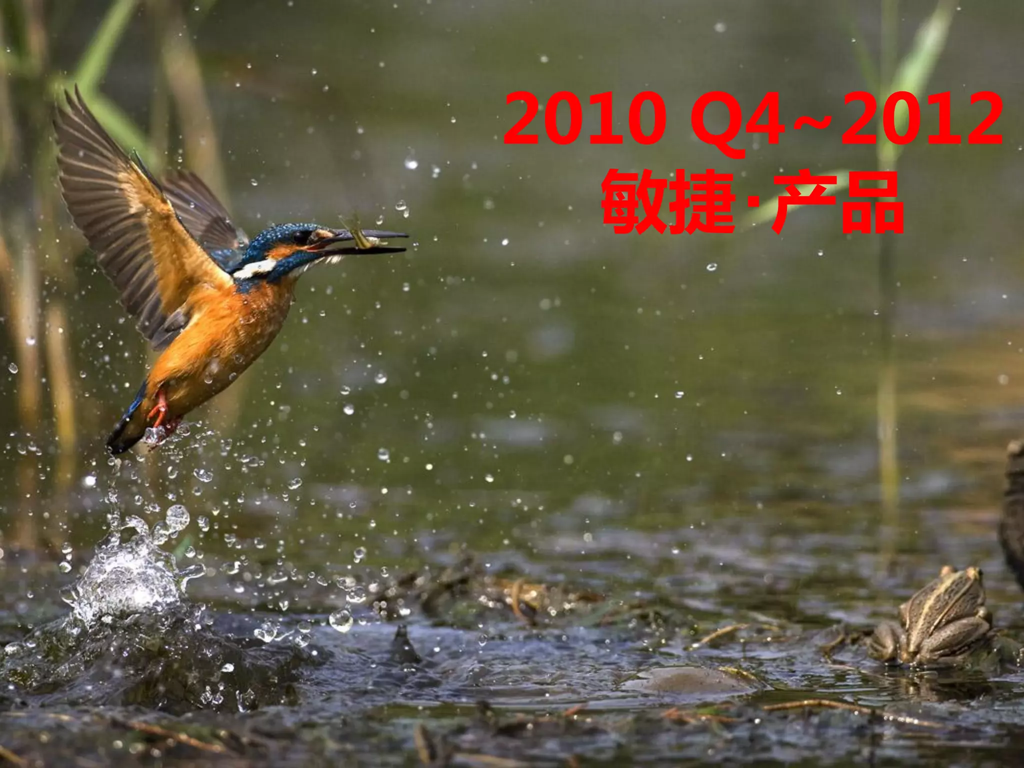 2010 Q4~2012
  敏捷･产品
 