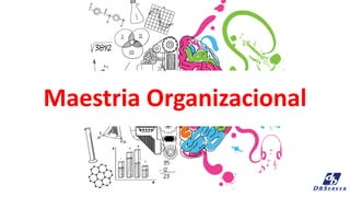 Maestria Organizacional
 