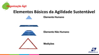 Organização Ágil
Elementos Básicos da Agilidade Sustentável
Elemento Humano
Elemento Não Humano
Medições
 