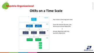 ORGANIZAÇÃO
Maestria Organizacional
 