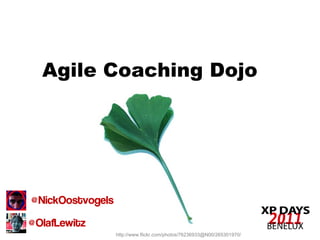 Agile Coaching Dojo




@NickOostvogels

@OlafLewitz
                  http://www.flickr.com/photos/76236933@N00/265301970/
 