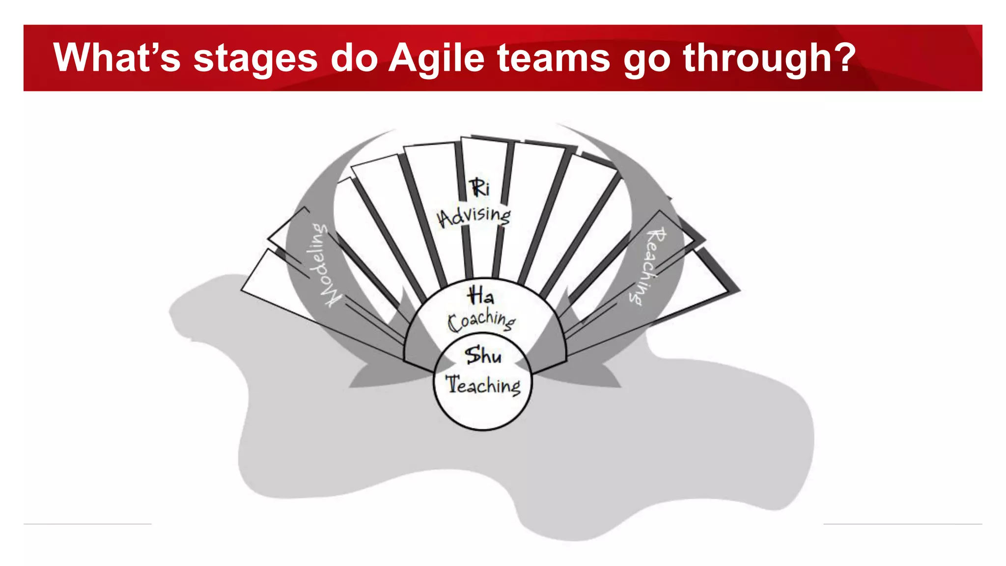 What’s stages do Agile teams go through?
 