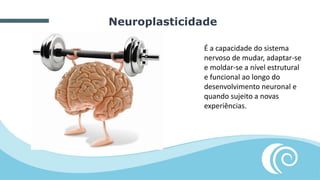 Neuroplasticidade
É a capacidade do sistema
nervoso de mudar, adaptar-se
e moldar-se a nível estrutural
e funcional ao longo do
desenvolvimento neuronal e
quando sujeito a novas
experiências.
 