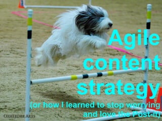 Agile
             content
            strategy
(or how I learned to stop worrying
               and love the Post-it)
 