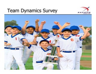 Team Dynamics Survey
 