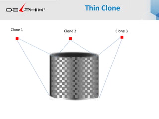 Clone 1 Clone 2 Clone 3
Thin Clone
 