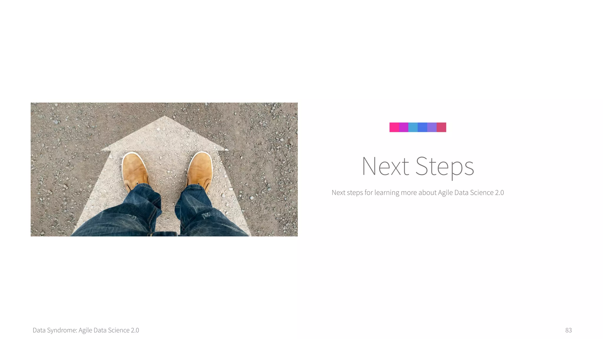 Data Syndrome: Agile Data Science 2.0 83
Next steps for learning more about Agile Data Science 2.0
Next Steps
 