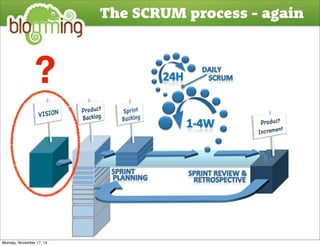 SCRUM & Lean Startup in Enterprises